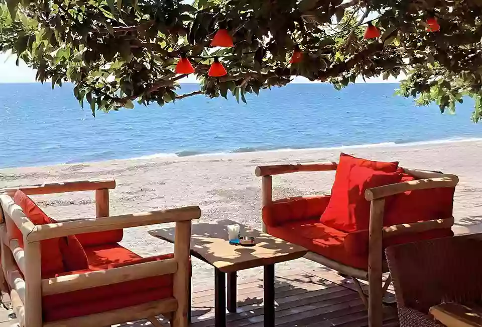 Le restaurant - A Pota Marina - restaurant plage SAN-NICOLAO - les meilleurs restaurant de SAN-NICOLAO